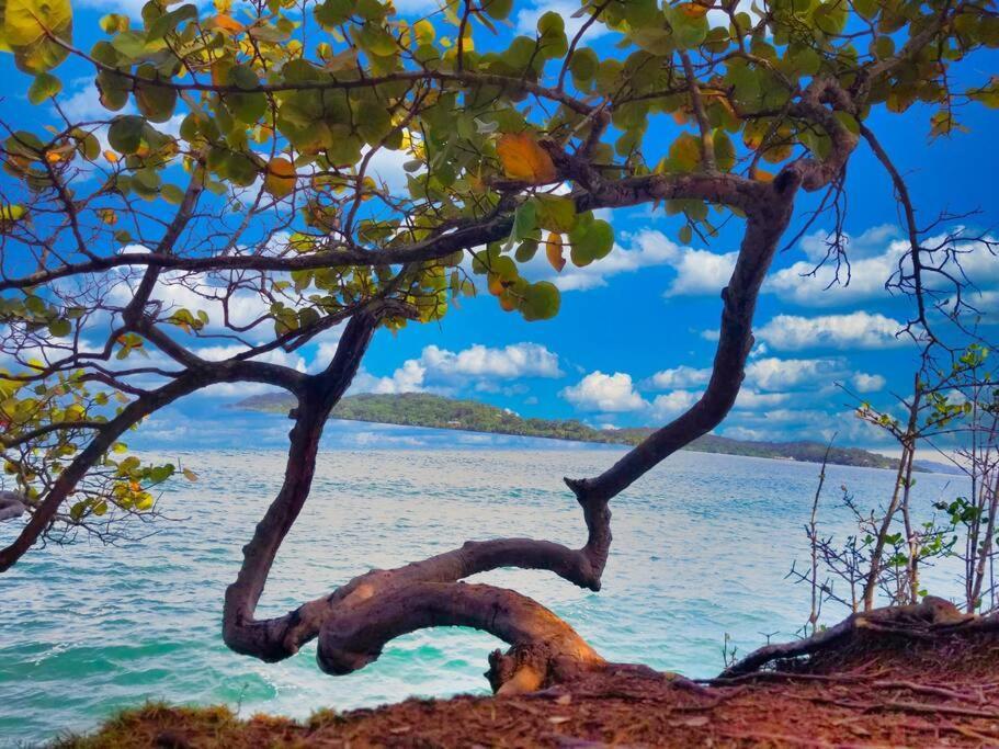 Vila Poetry Garden Bocas Town Colon Island Exteriér fotografie