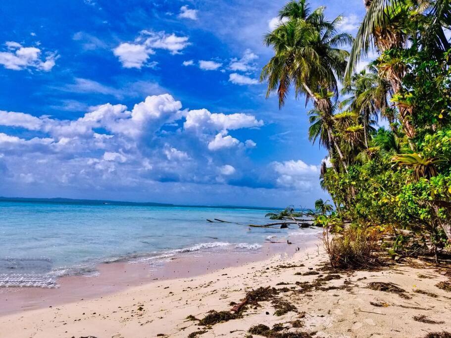 Vila Poetry Garden Bocas Town Colon Island Exteriér fotografie