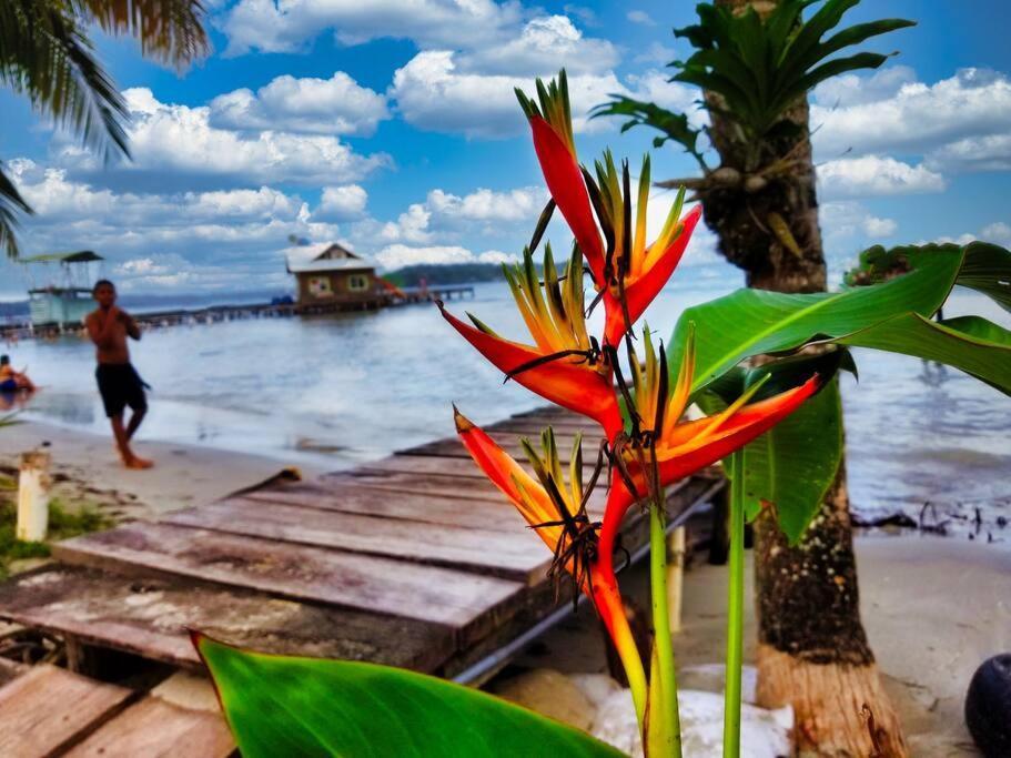 Vila Poetry Garden Bocas Town Colon Island Exteriér fotografie