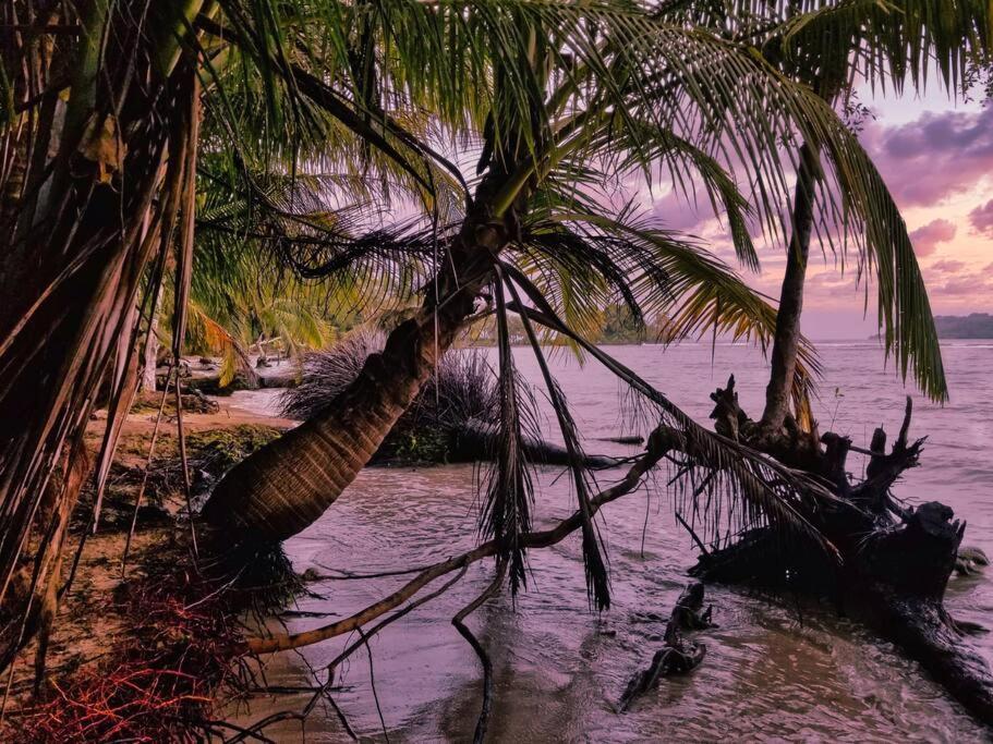Vila Poetry Garden Bocas Town Colon Island Exteriér fotografie
